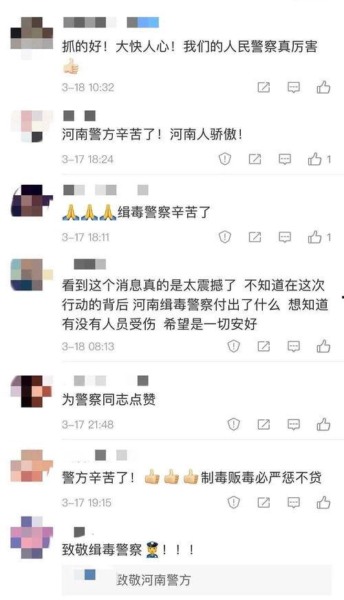 河南大事件爆料视频播放,揭秘视频播放背后的热点与焦点  第1张